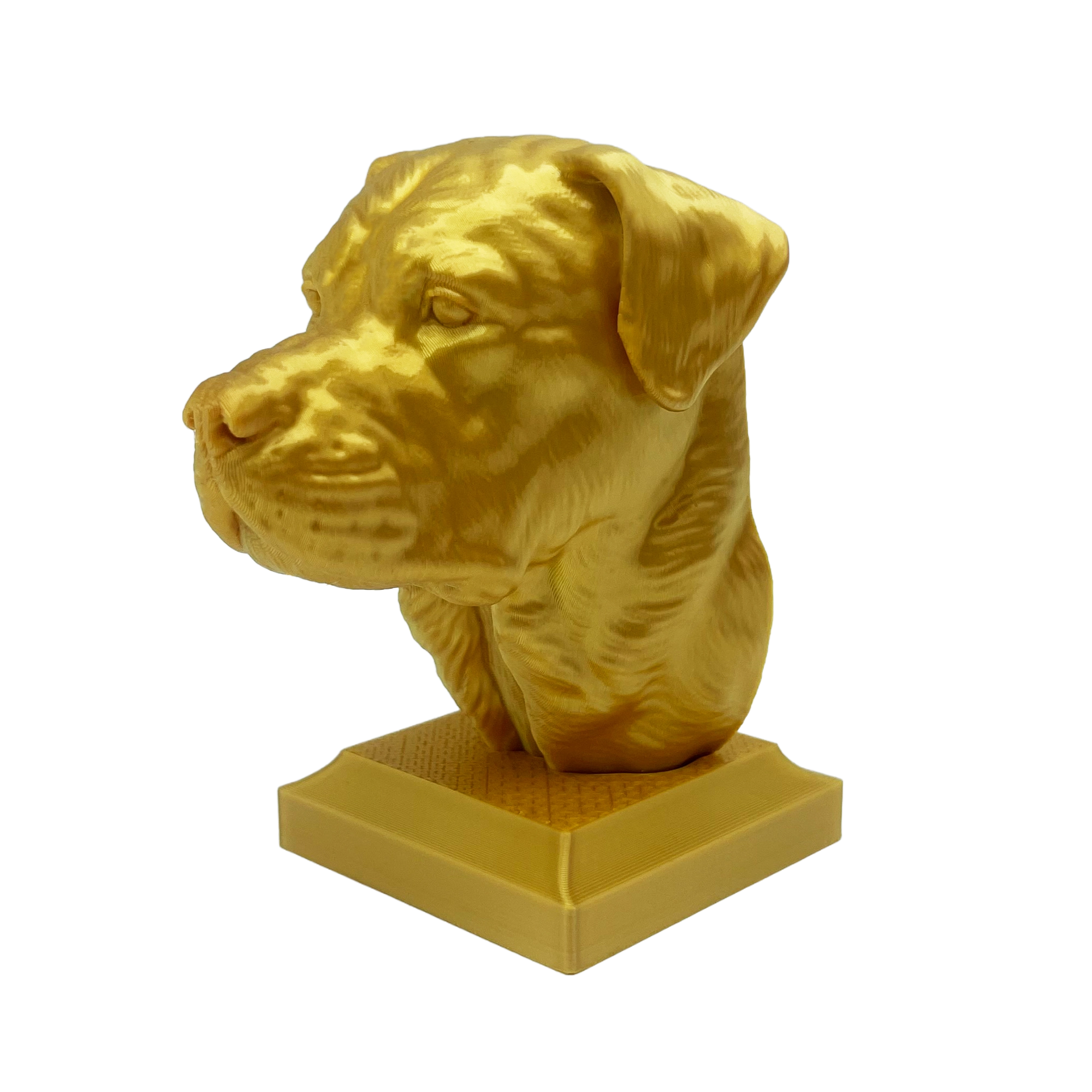Rottweiler Kopf mit geschlossenem Maul - 3D Skulptur mit Sockel in Gold