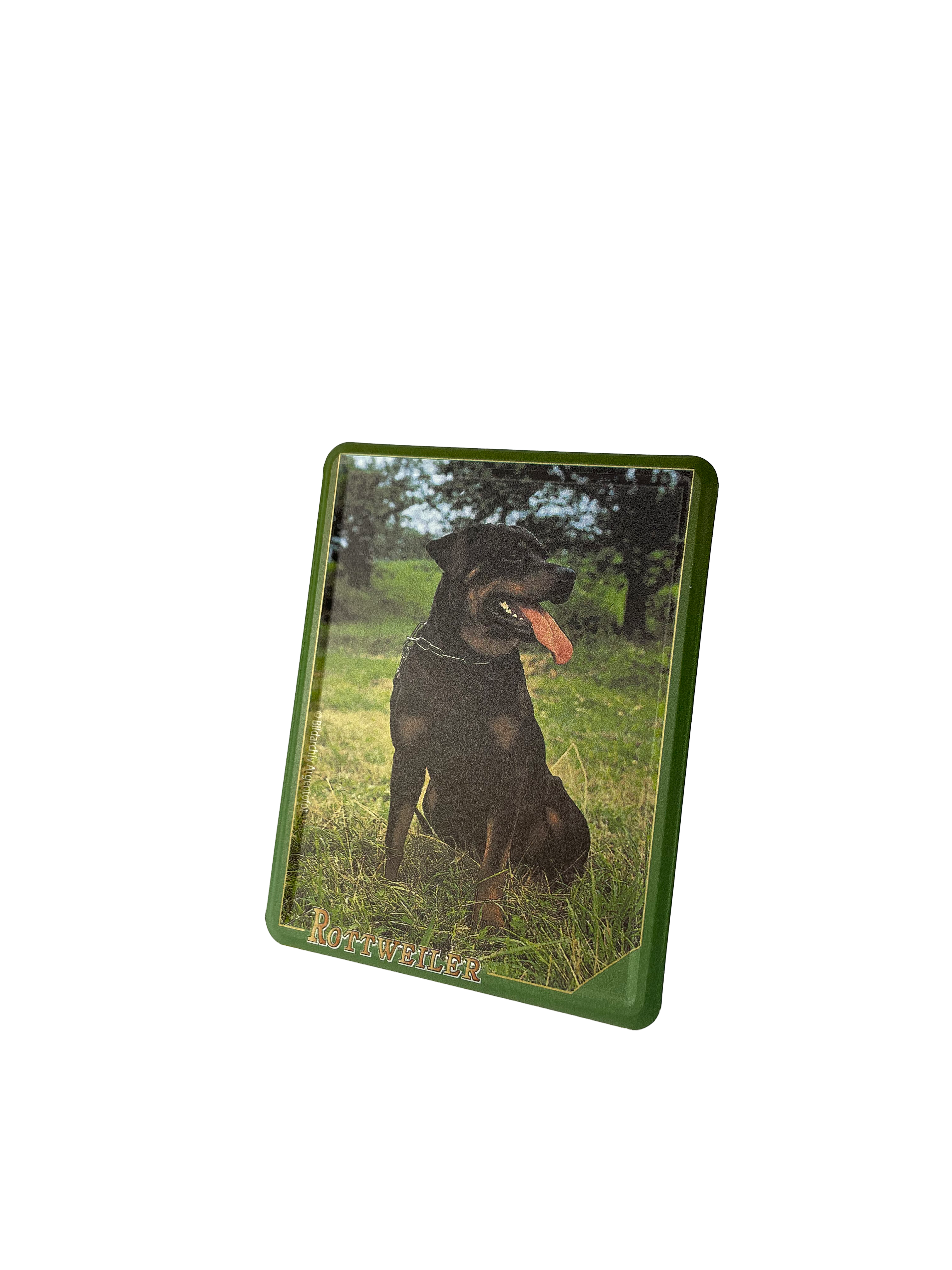 Rottweil Hund Magnet