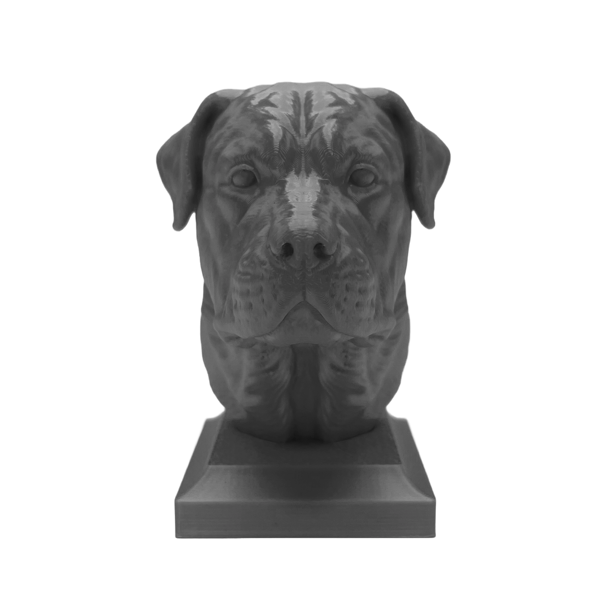 Rottweiler Kopf mit geschlossenem Maul - 3D Skulptur mit Sockel in Schwarz
