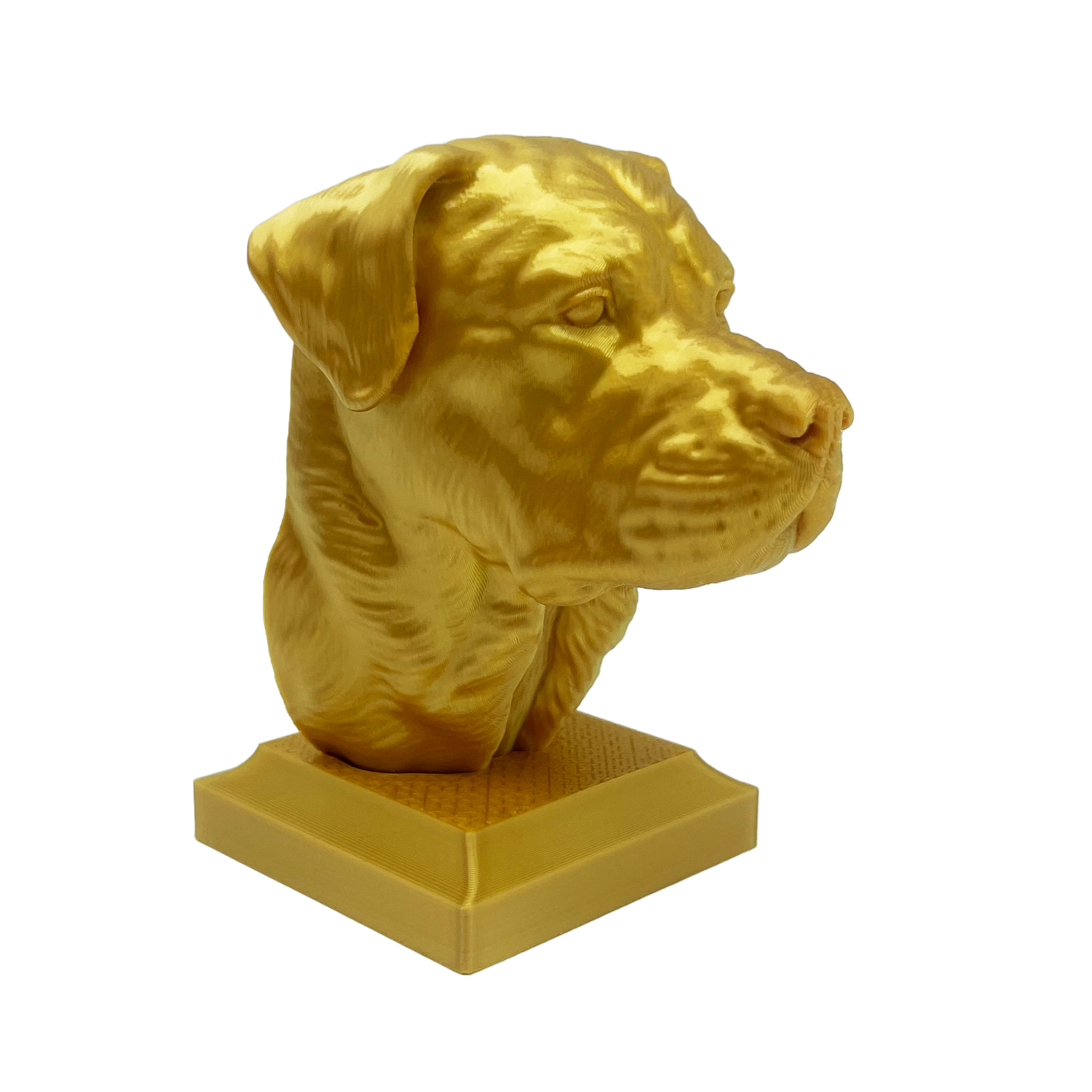 Rottweiler Kopf mit geschlossenem Maul - 3D Skulptur mit Sockel in Gold Rottweiler Kopf mit geschlossenem Maul - 3D Skulptur mit Sockel in Gold