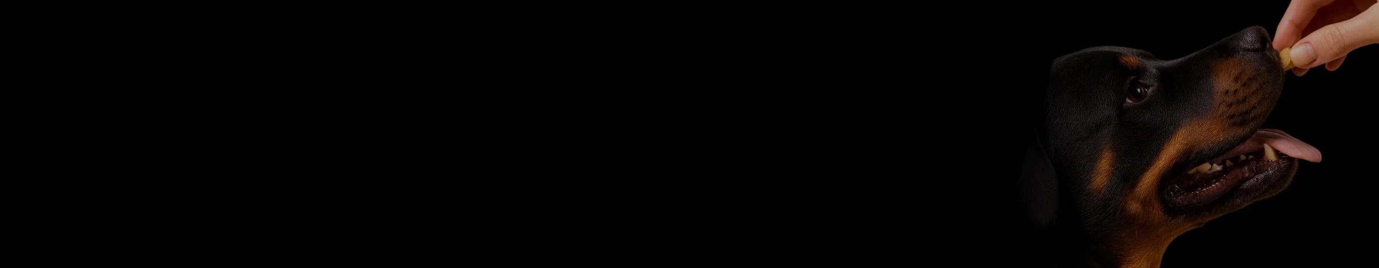 Rottweiler-Shop Futterergänzung