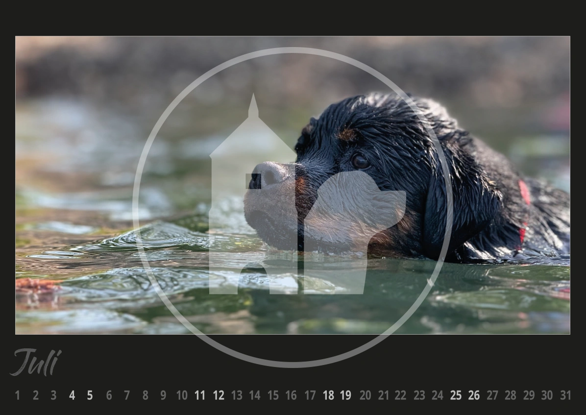 Rottweiler Hunde Kalender 2026