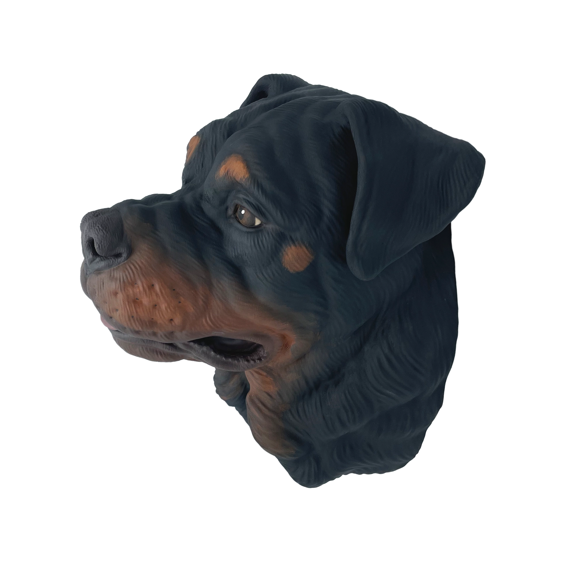 Großer handbemalter Rottweiler Wandkopf – Leicht geöffnetes Maul