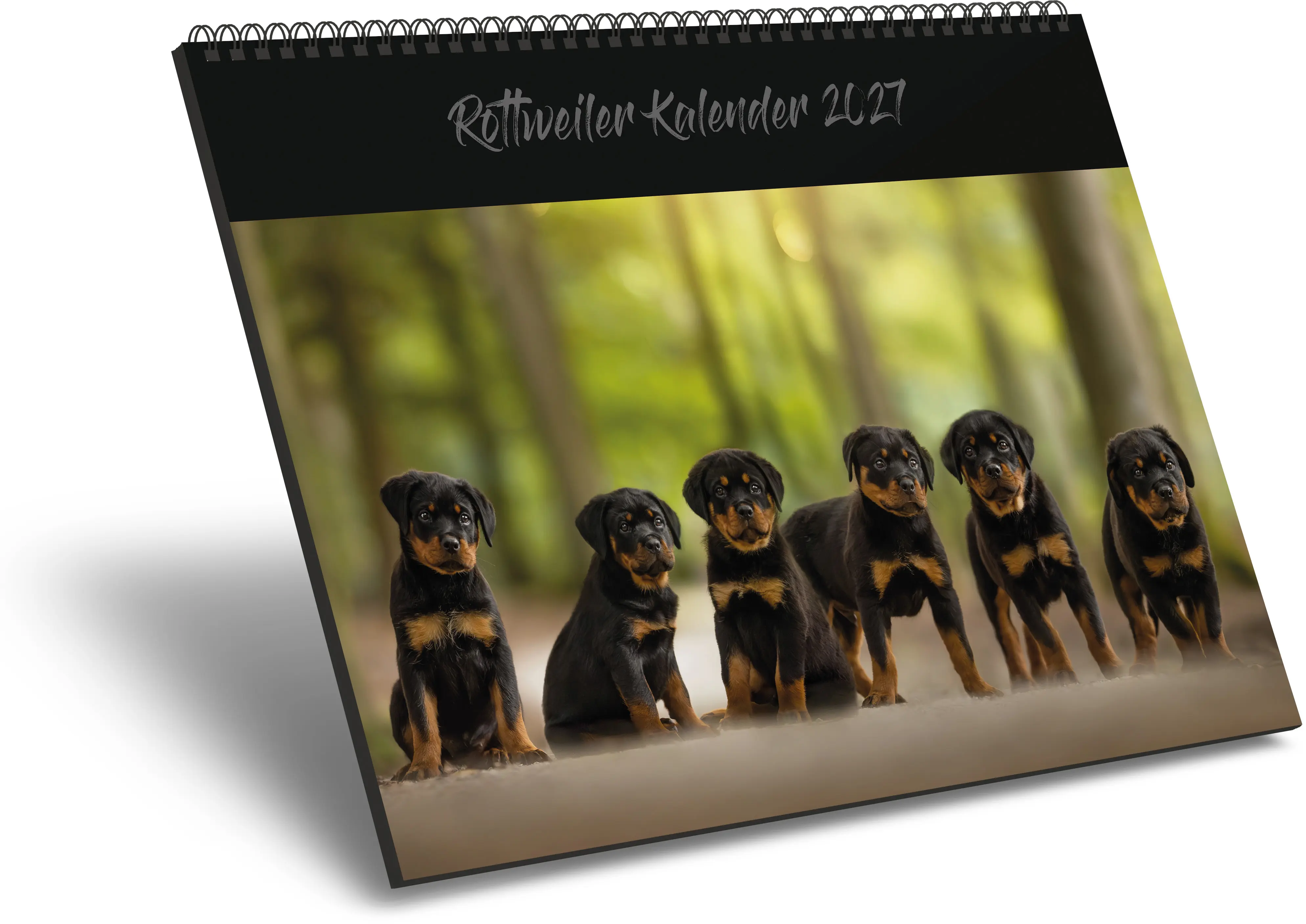 Rottweiler Kalender 2027 - "Rottweiler and Friends" Rottweiler Kalender 2027 - "Rottweiler and Friends"