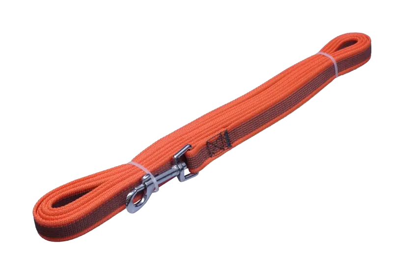 Hundeleine orange Hundeleine orange