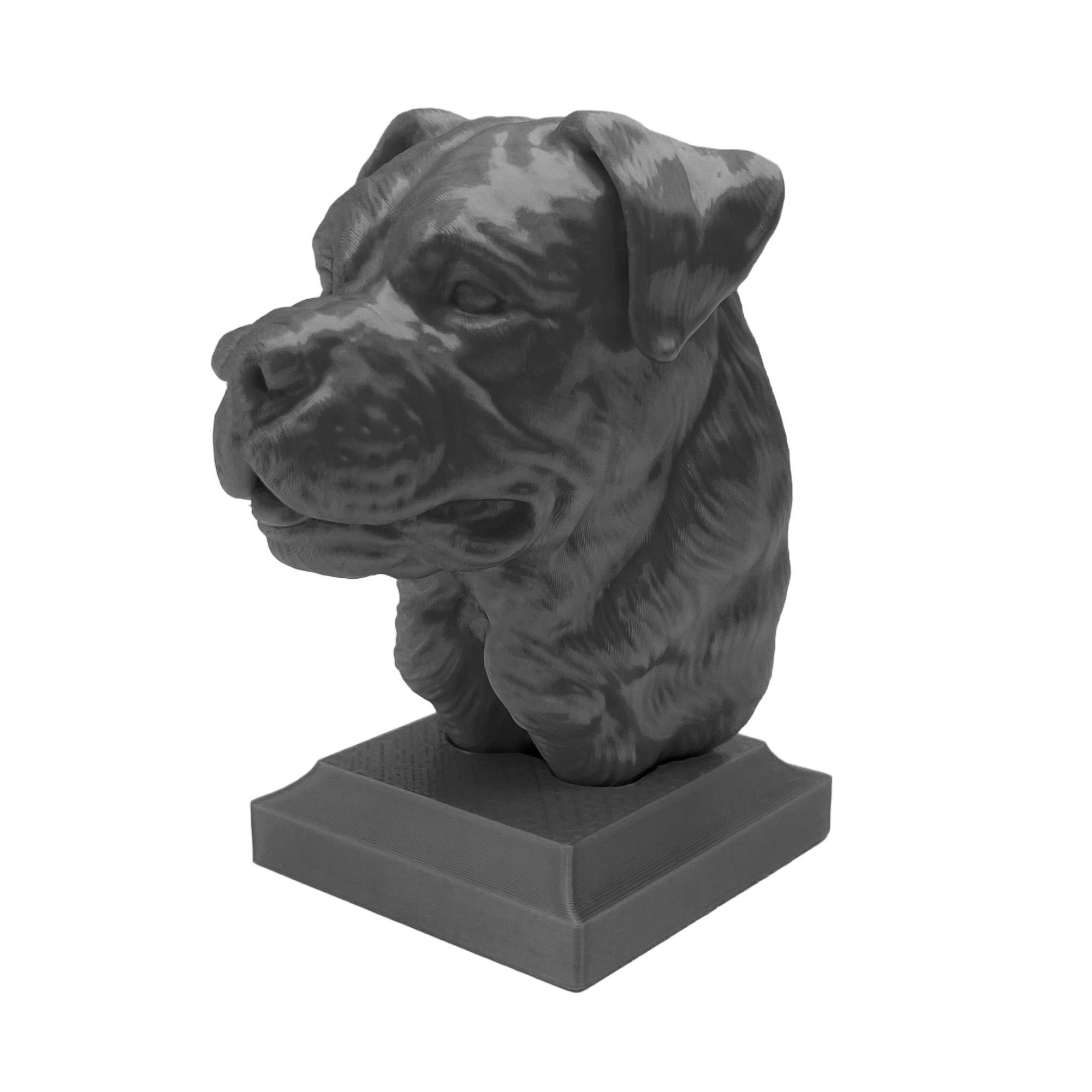 Rottweiler Kopf mit leicht geöffnetem Maul - 3D Skulptur mit Sockel