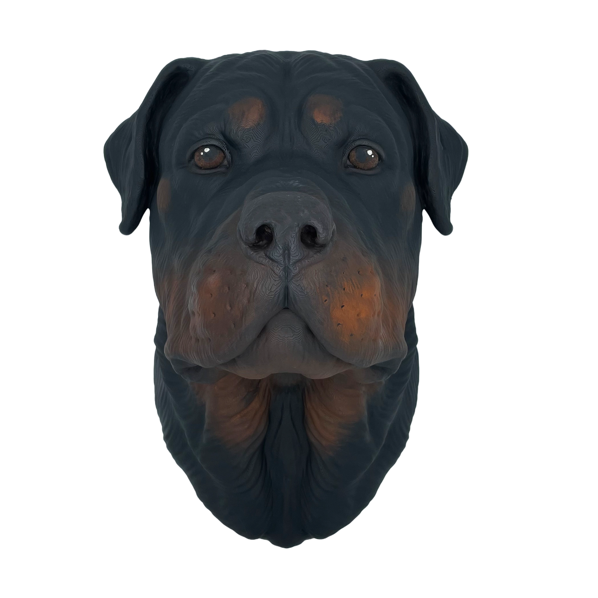 Großer handbemalter Rottweiler Wandkopf – Geschlossenes Maul Großer handbemalter Rottweiler Wandkopf – Geschlossenes Maul
