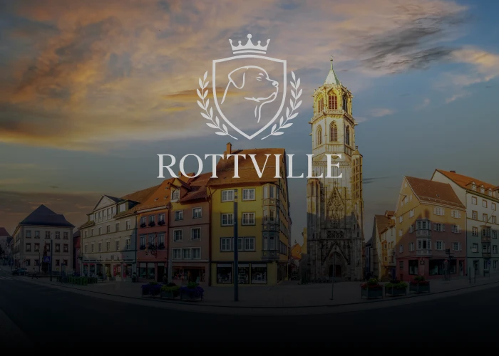 ROTTVILLE