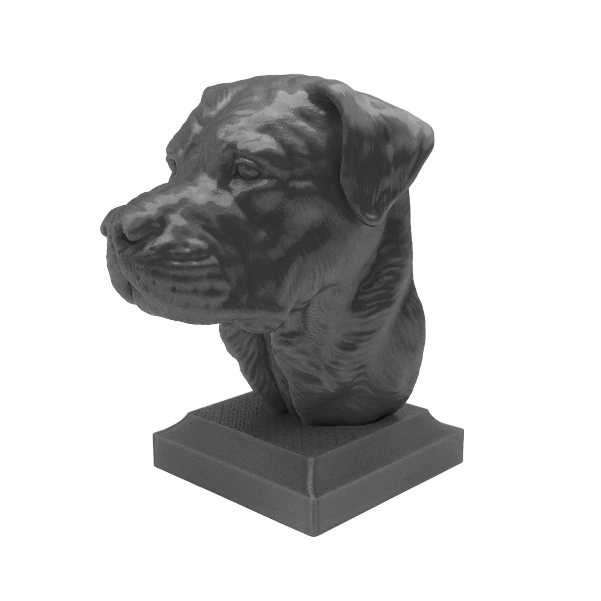 Rottweiler Kopf mit geschlossenem Maul - 3D Skulptur mit Sockel