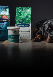 rottweiler-shop.de-startseite-kachel-hundeartikel-172.5x250-2 rottweiler-shop.de-startseite-kachel-hundeartikel-172.5x250-2