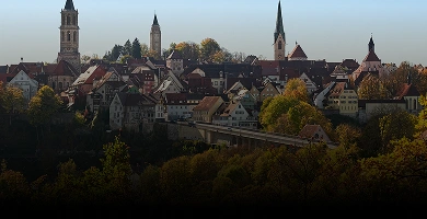 Rotweiler Skyline Rotweiler Skyline