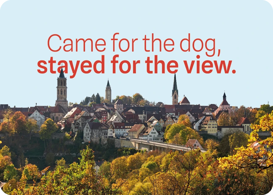 Came for the dog Came for the dog