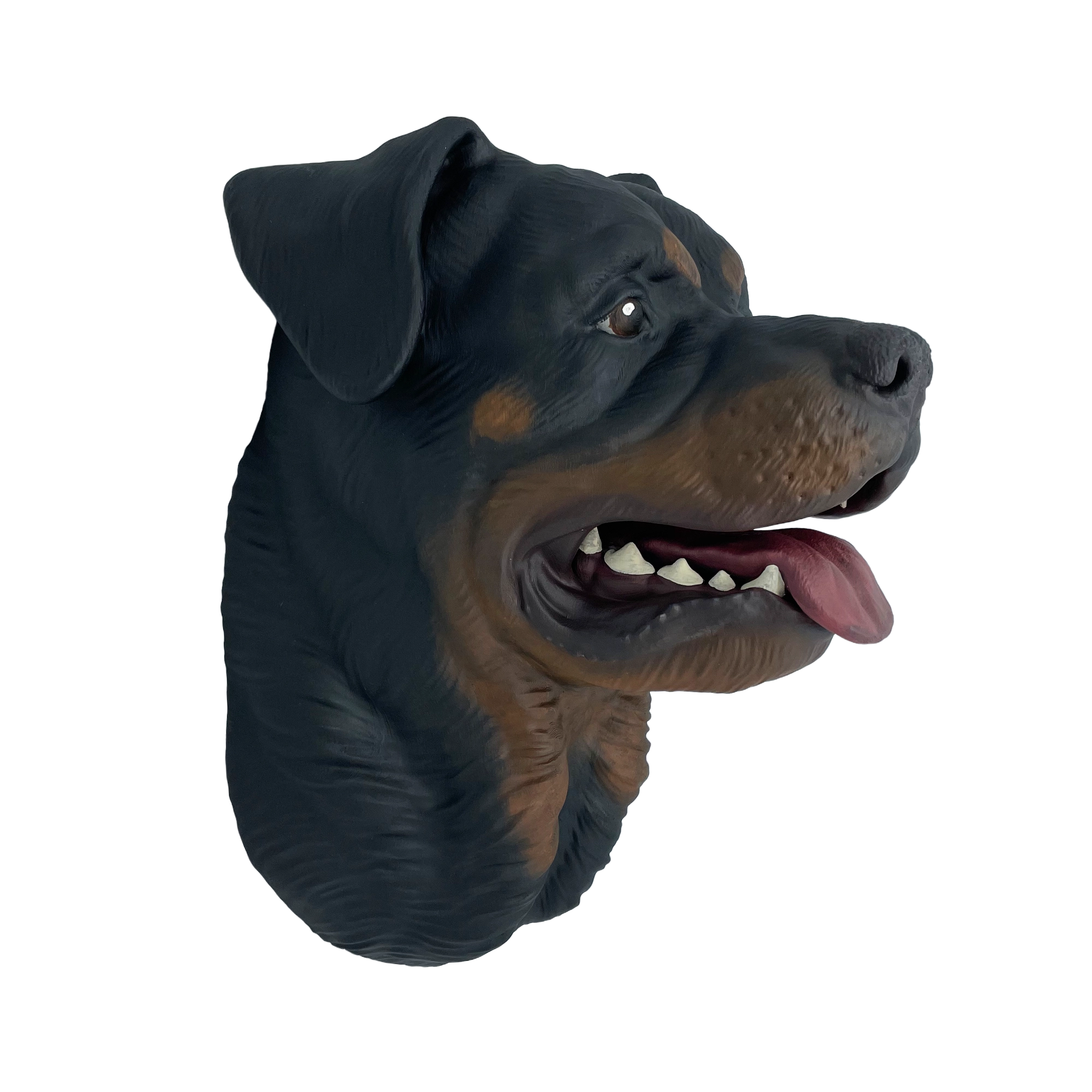 Großer handbemalter Rottweiler Wandkopf – Geöffnetes Maul