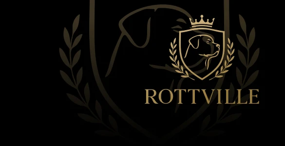 ROTTVILLE ROTTVILLE