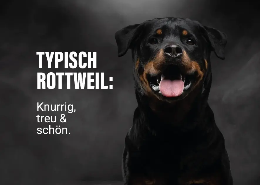 Postkarte Typisch Rottweil Postkarte Typisch Rottweil