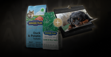 rottweiler-shop.de-seite-hundefutter-aktion-kalender-mobil