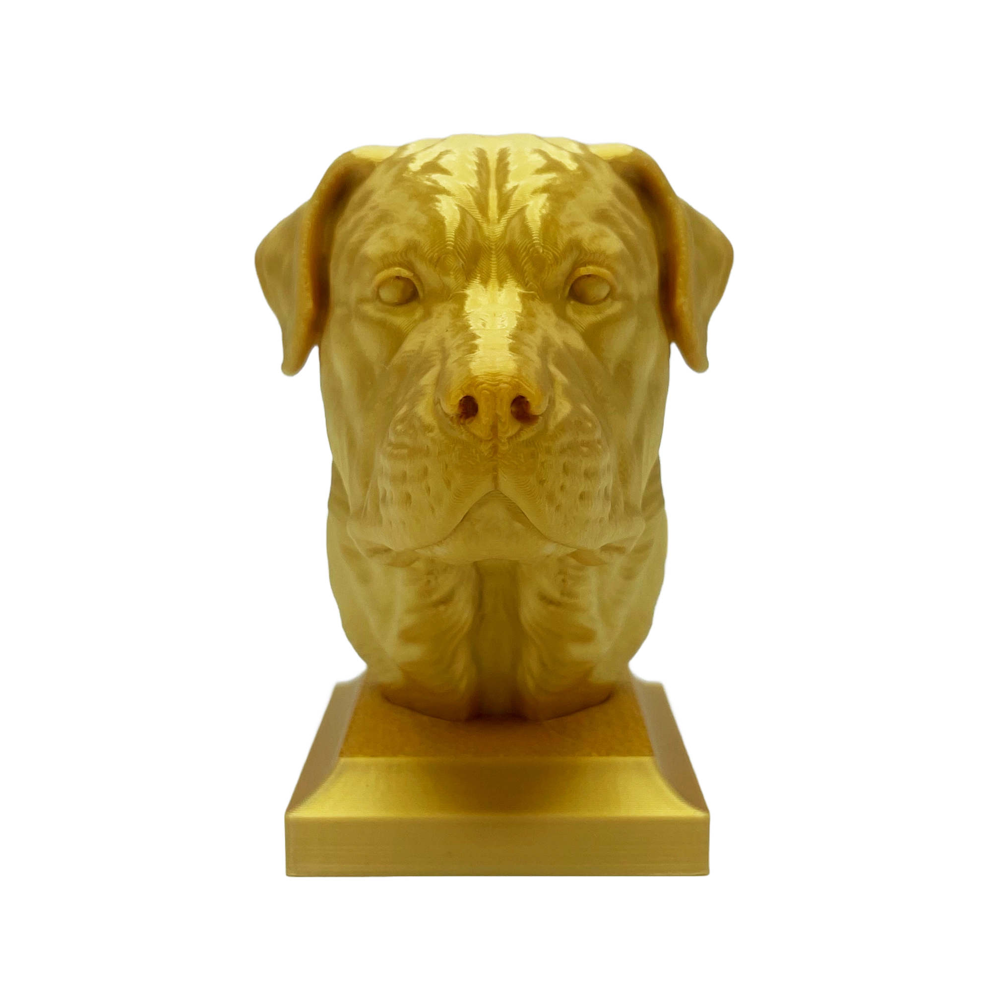 Rottweiler Kopf mit geschlossenem Maul - 3D Skulptur mit Sockel in Gold