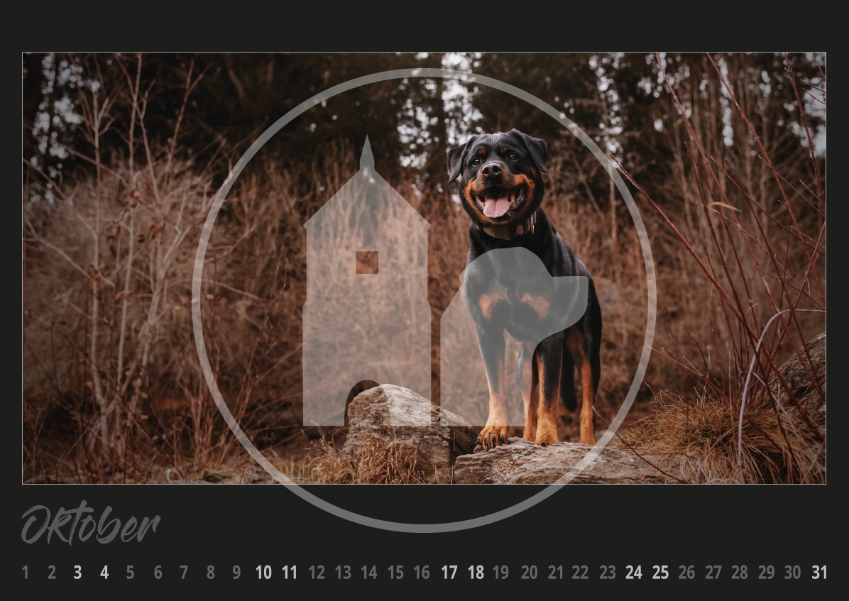 Rottweiler Hunde Kalender 2026 Rottweiler Hunde Kalender 2026