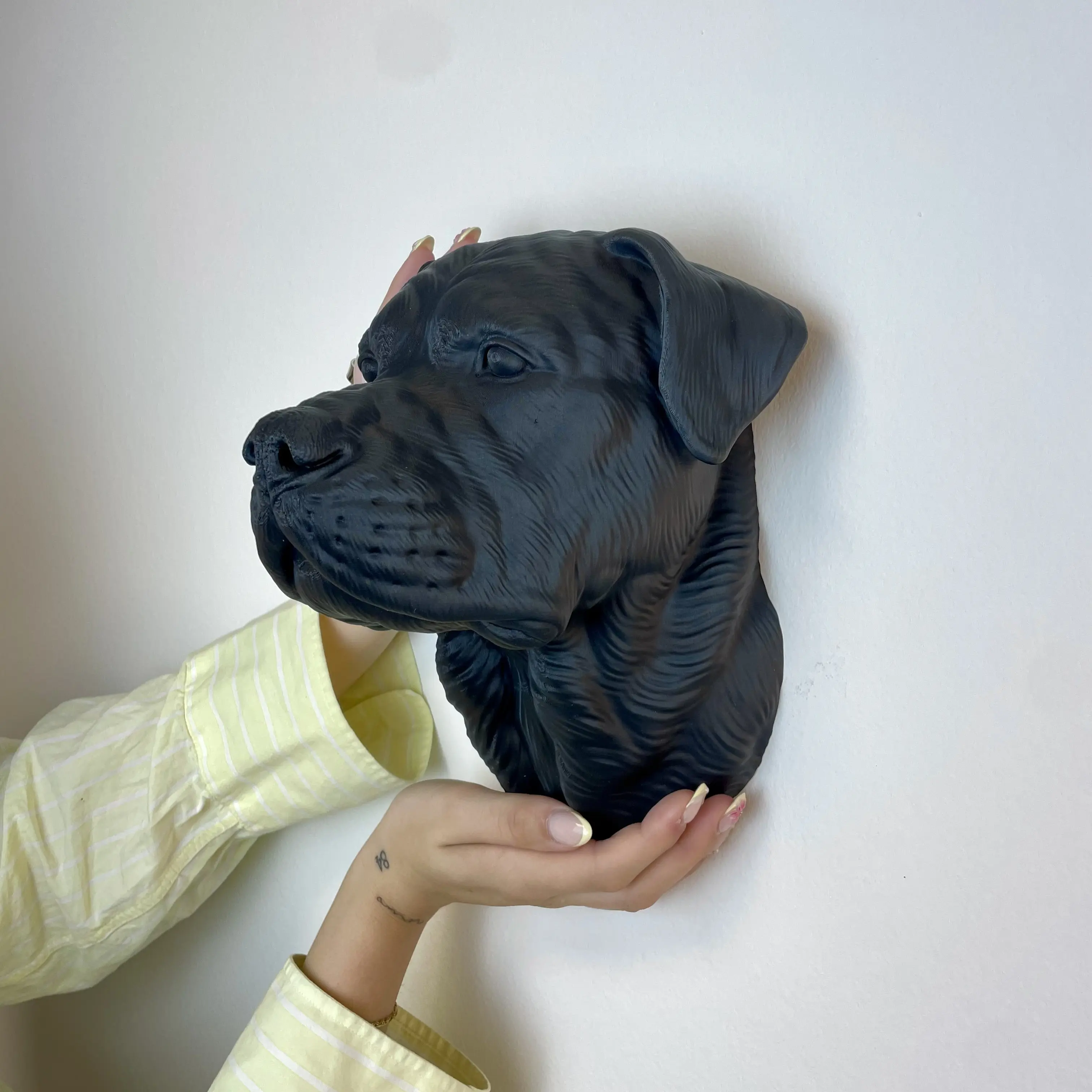 Kleiner Rottweiler Wandkopf – Geschlossenes Maul