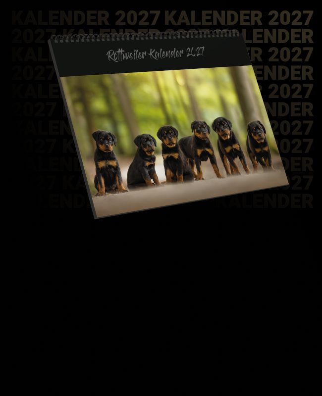rottweiler-shop-banner-kalender-2027-mobil rottweiler-shop-banner-kalender-2027-mobil