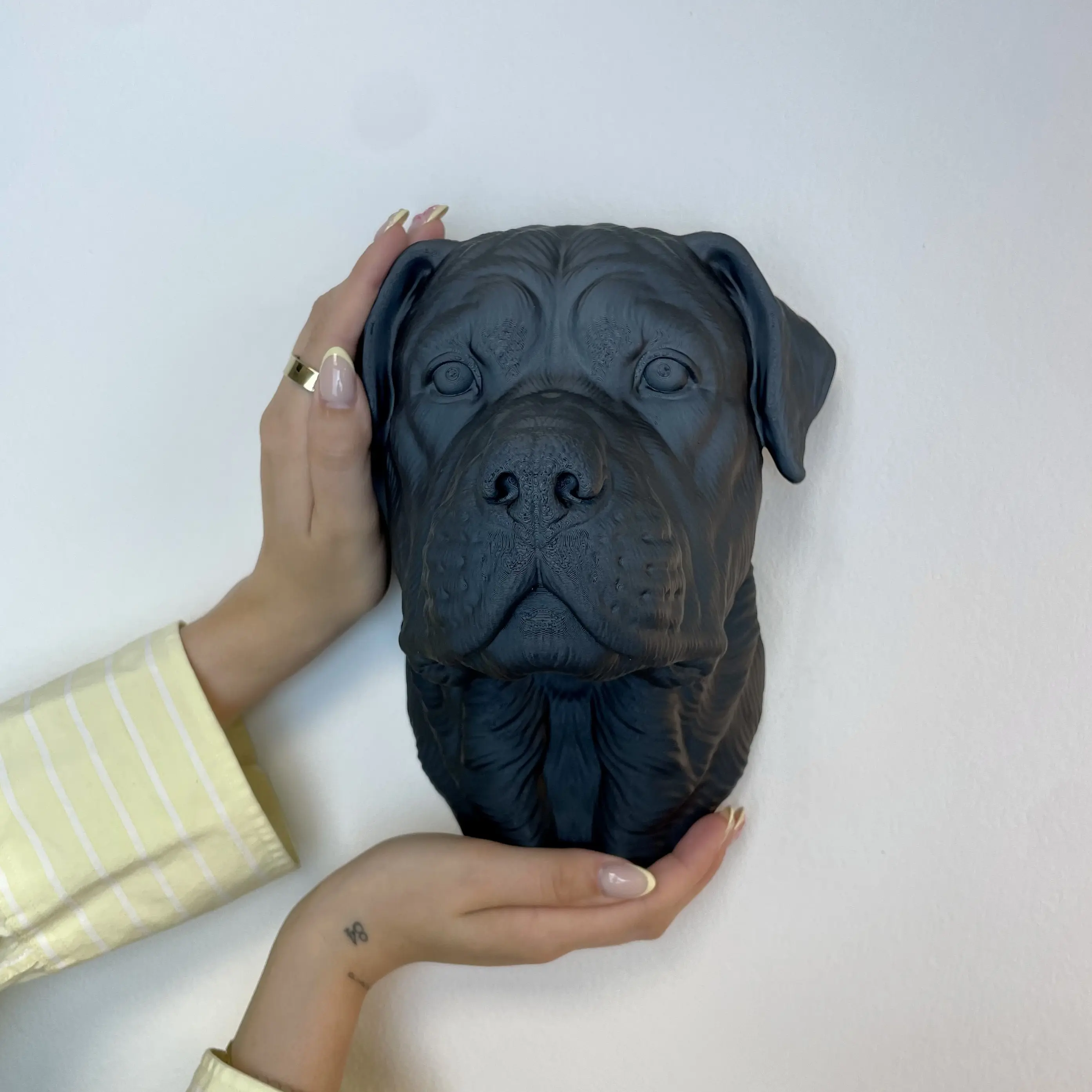 Kleiner Rottweiler Wandkopf – Geschlossenes Maul Kleiner Rottweiler Wandkopf – Geschlossenes Maul