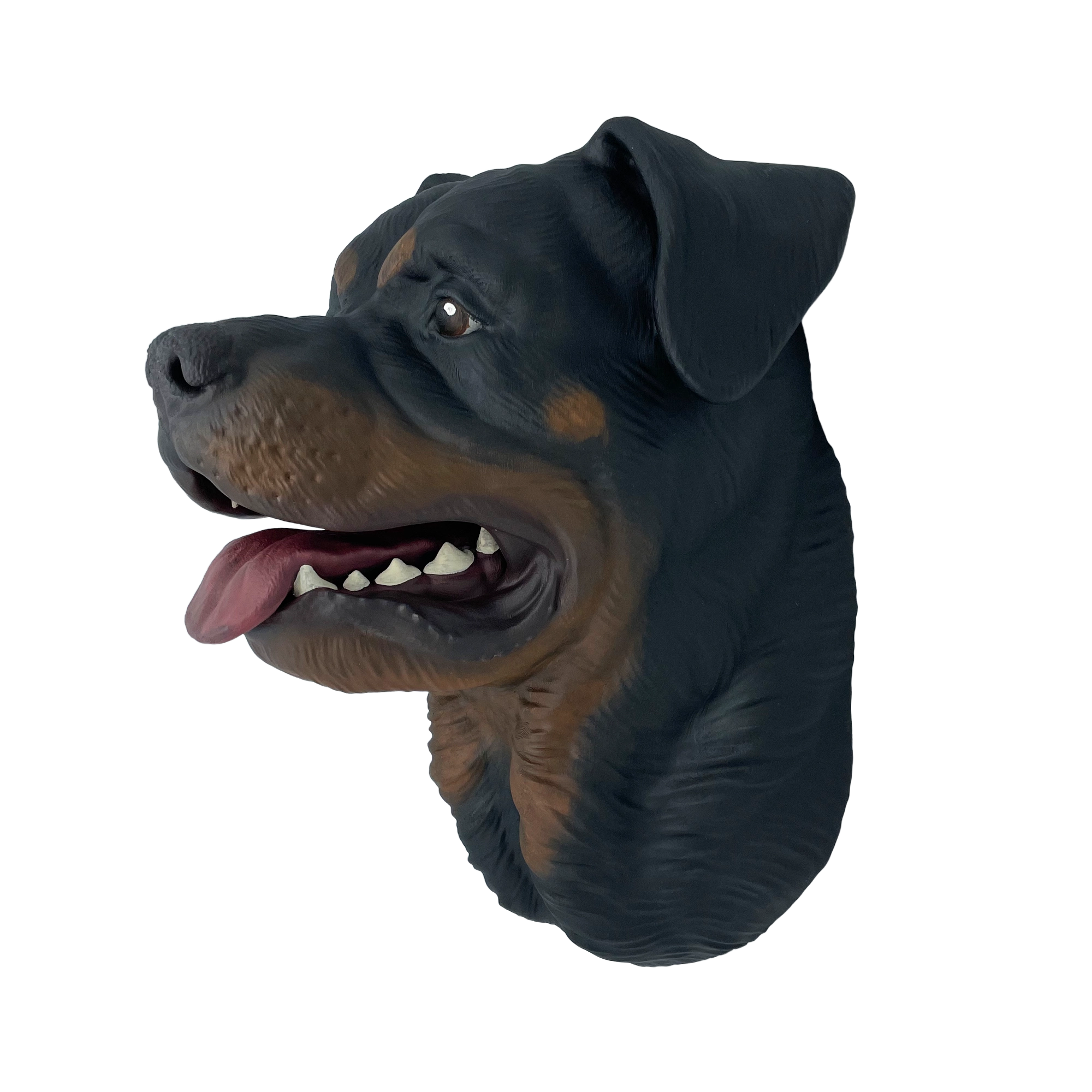 Großer handbemalter Rottweiler Wandkopf – Geöffnetes Maul