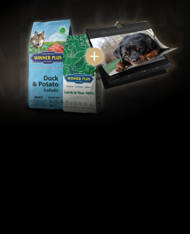rottweiler-shop-banner-aktion-futter-kalender-mobil rottweiler-shop-banner-aktion-futter-kalender-mobil
