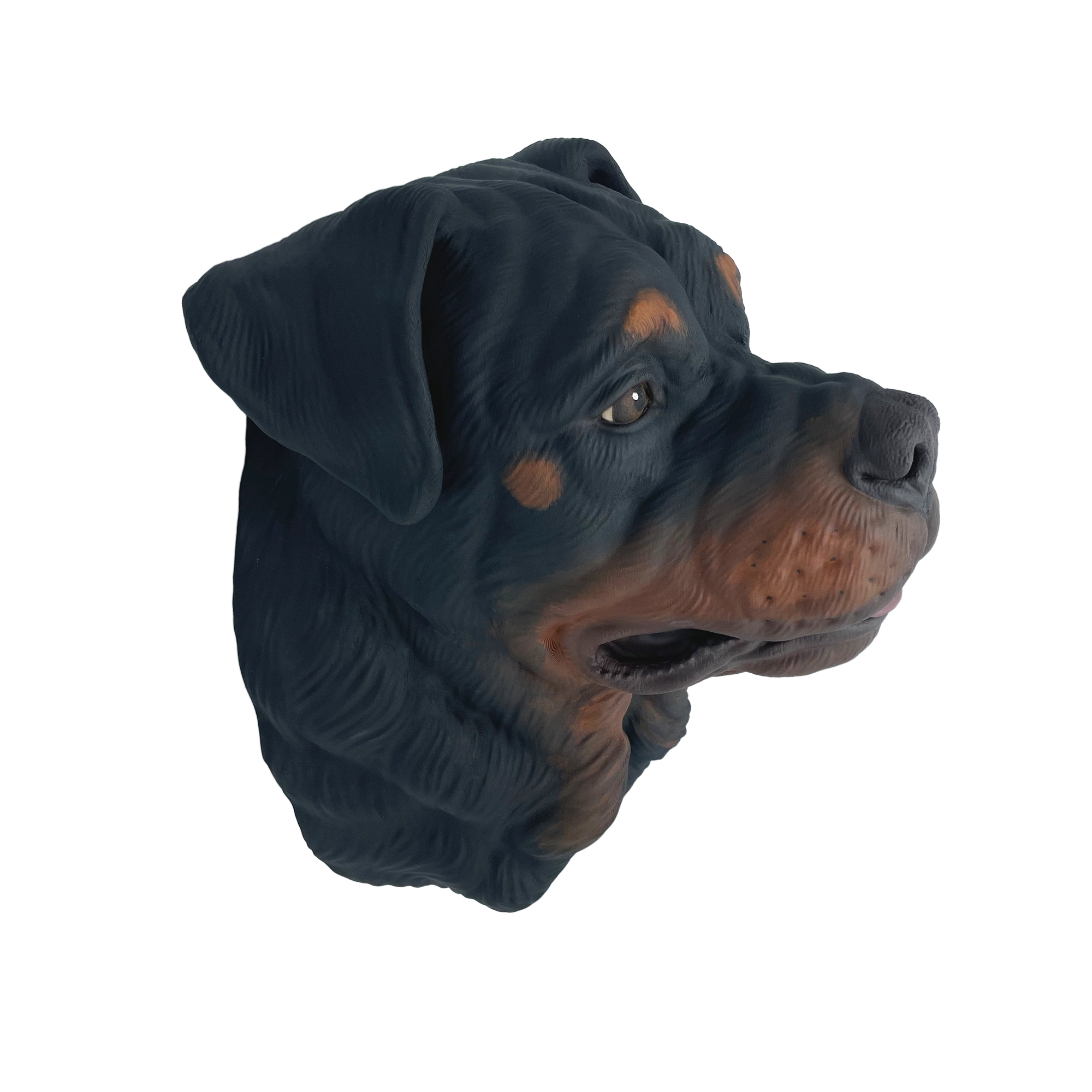 Großer handbemalter Rottweiler Wandkopf – Leicht geöffnetes Maul