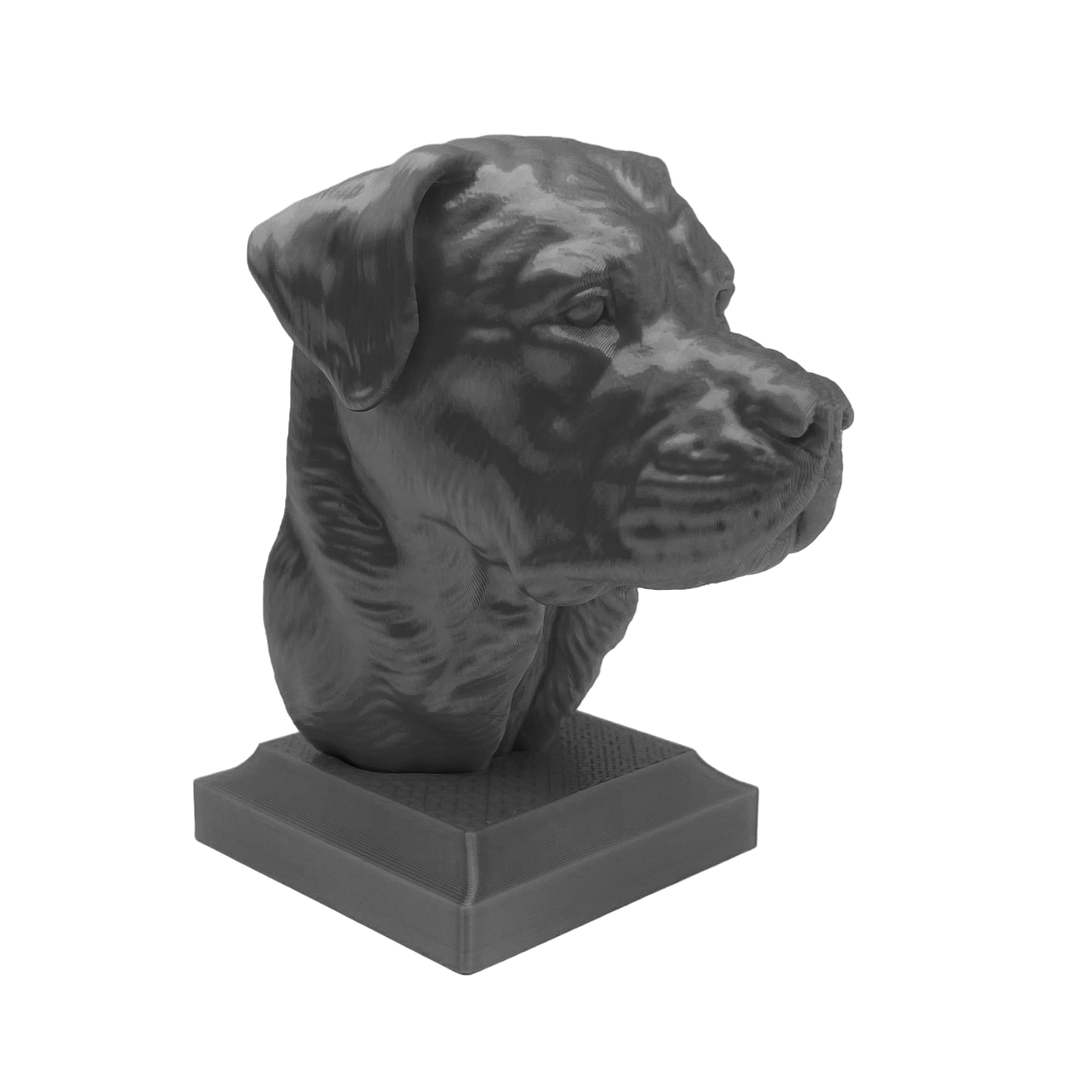 Rottweiler Kopf mit geschlossenem Maul - 3D Skulptur mit Sockel in Schwarz