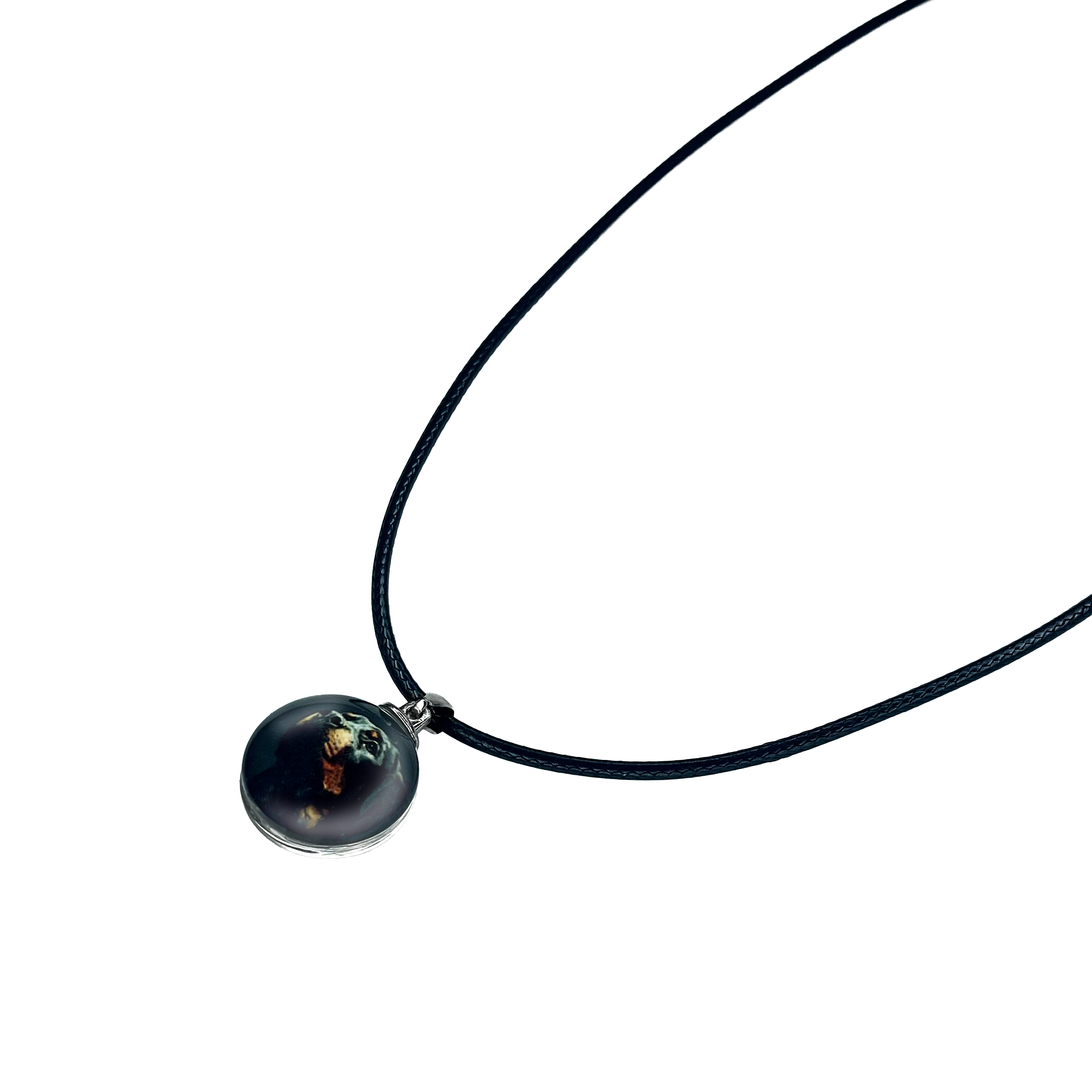 Rottweiler Kette Rottweiler Kette